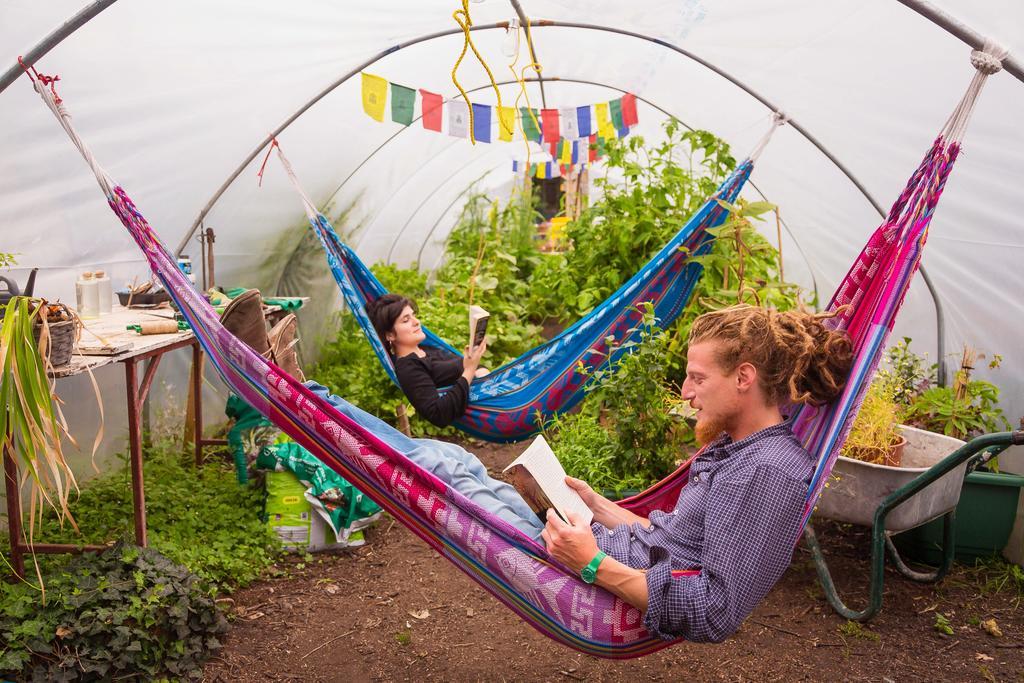 The Black Sheep Hostel Киларни Екстериор снимка